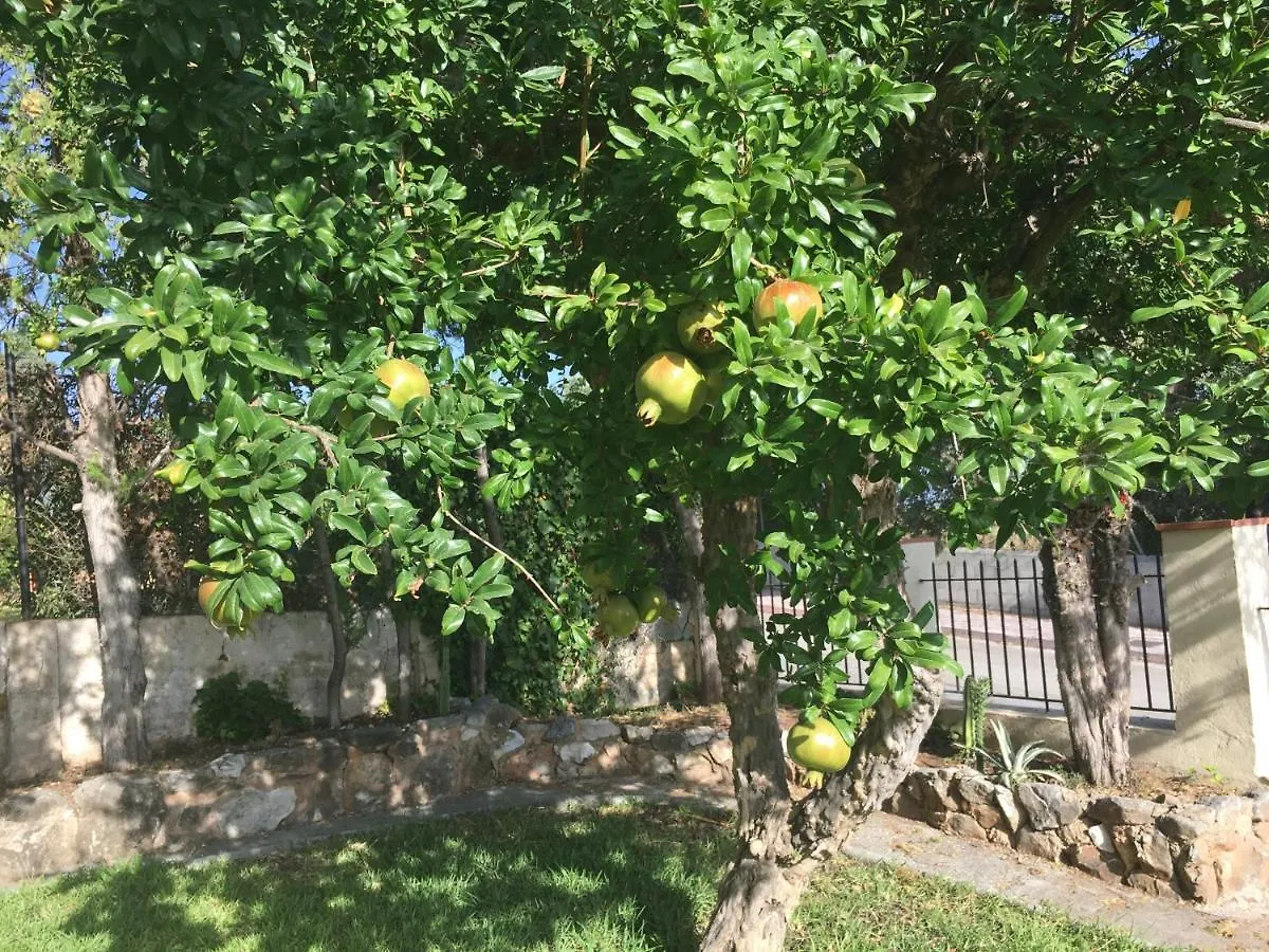 Vakantieverblijf Villa Kluever 阿尔豪林德拉托里 度假居